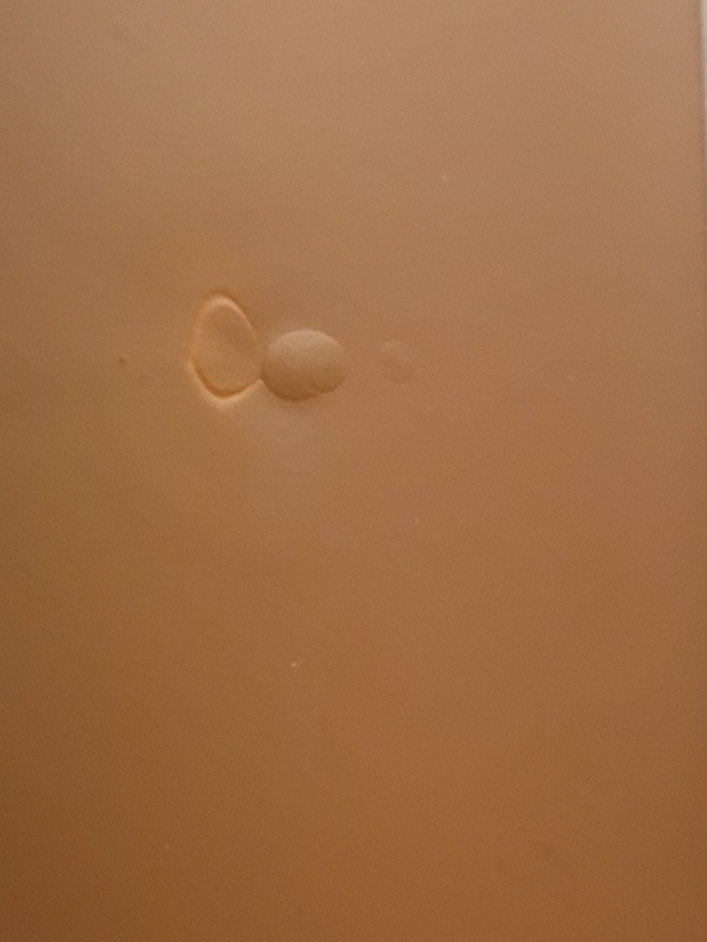 Mary Kay Endless Performance Creme-to-Powder Foundation Bronze 4 (DISCONTINUED) - Picture 5 of 5